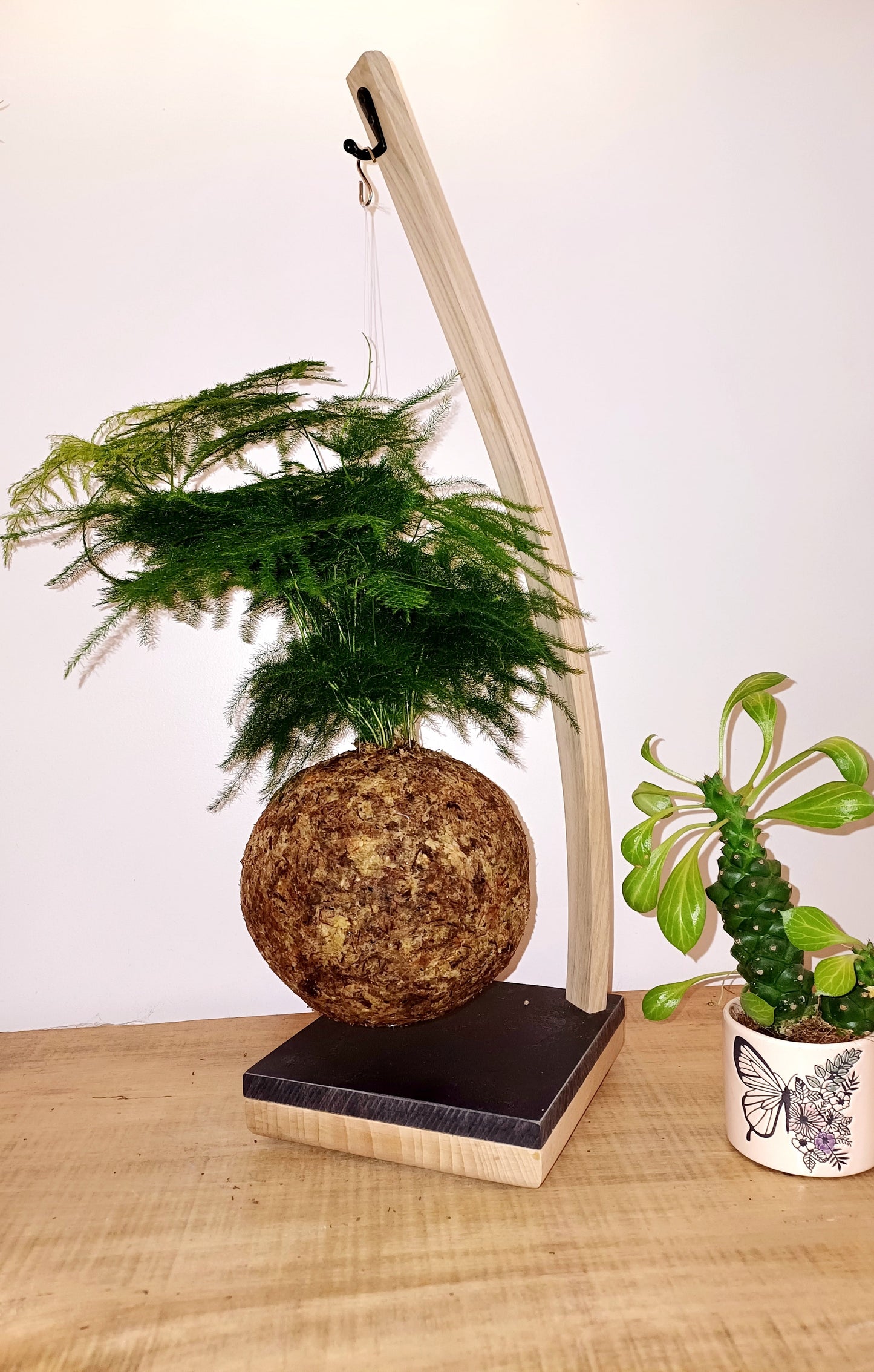 Asparagus sur arche